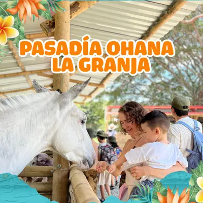 Vive un día inolvidable en Playa Hawai con nuestro Pasadía Granjero, un plan perfecto para que los más pequeños se diviertan, aprendan y conecten con la naturaleza.
Disfruta de piscinas, toboganes, zonas recreativas y la experiencia única de recorrer nuestra granja interactiva, donde podrán alimentar y conocer a nuestros animalitos.
 Un día lleno de adrenalina, ternura y momentos inolvidables en familia.
Incluye:
 	Pasadía con acceso a piscinas, toboganes, salón de juegos y escenarios deportivos
 	Ingreso a la granja interactiva
 	Paquete de alimento para los animalitos e interacción guiada
Plan mínimo: 2 personas
Valor: $50.000 COP por persona
Un plan lleno de naturaleza, sonrisas y aventuras para toda la familia.
 
Términos y Condiciones 
 	Vigencia: Promoción válida a partir del 17 de octubre de 2025 hasta agotar disponibilidad.
 	Tarifa: Valor de $50.000 COP por persona. Aplica únicamente para compras en línea o en taquilla autorizada de Playa Hawai.
 	Mínimo de compra: Plan válido para un mínimo de 2 personas.
 	Incluye: Ingreso al parque acuático, acceso a piscinas, toboganes, salón de juegos, escenarios deportivos, ingreso a la granja interactiva y paquete de alimento para los animalitos.
 	Edad recomendada: Actividad especialmente pensada para niños entre 3 y 12 años acompañados de un adulto responsable.
 	No acumulable: Esta promoción no es acumulable con otras ofertas, promociones o descuentos vigentes.
 	Reservas: Sujeto a disponibilidad. Se recomienda realizar la reserva con anticipación a través de la página web oficial.
 	Condiciones de uso:
 	El pasadía es válido únicamente para la fecha seleccionada al momento de la compra.
 	No es transferible ni reembolsable.
 	En caso de condiciones climáticas extremas, el parque podrá reprogramar la fecha de uso.
 	Seguridad: Los niños deben estar siempre acompañados de un adulto responsable dentro de la zona de granja y atracciones.
 	Playa Hawai se reserva el derecho de modificar, suspender o cancelar la promoción sin previo aviso en caso de fuerza mayor o ajustes operativos.