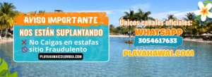 comunicado final